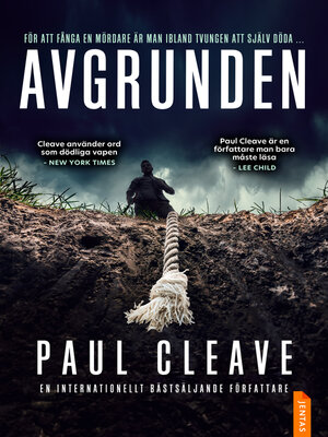 cover image of Avgrunden
